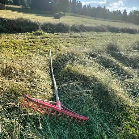 Ubytování v soukromí Bialczanska Ostoja Białka Tatrzańska